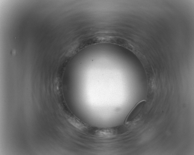 X0000066940567200604071915