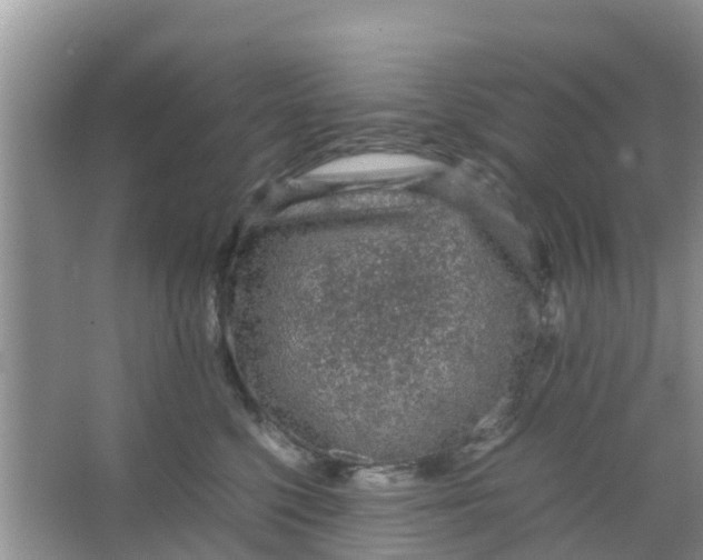 X0000066940568200604071915