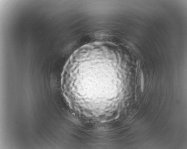 X0000066940569200604071915