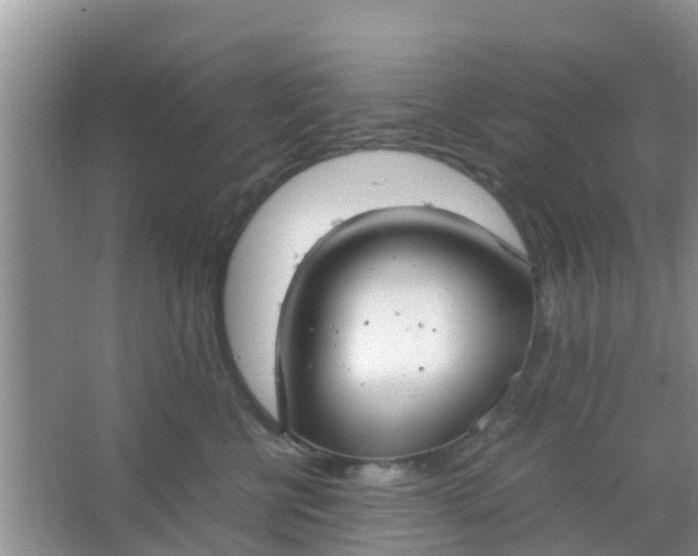 X0000066940570200604071915