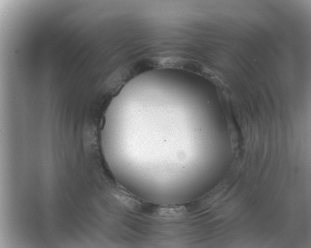 X0000066940571200604071915