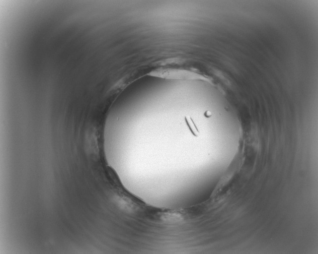 X0000066940572200604071915