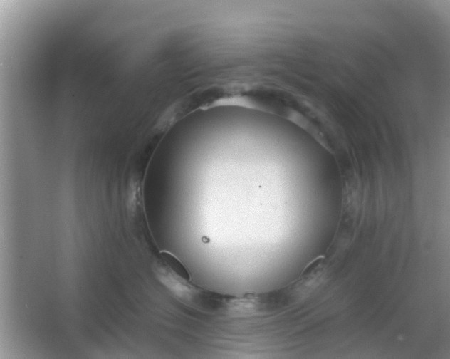 X0000066940574200604071915