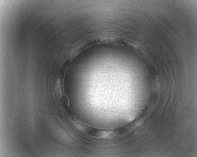 X0000066940575200604071915