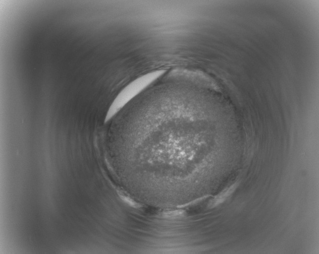 X0000066940576200604071915