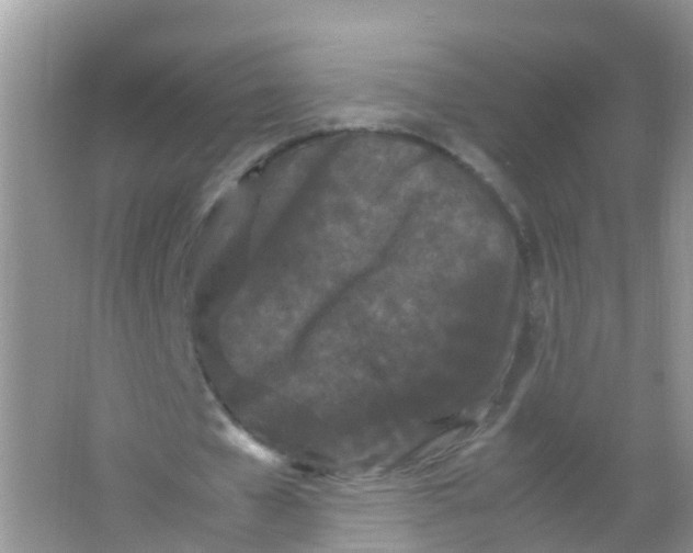 X0000066940577200604071915