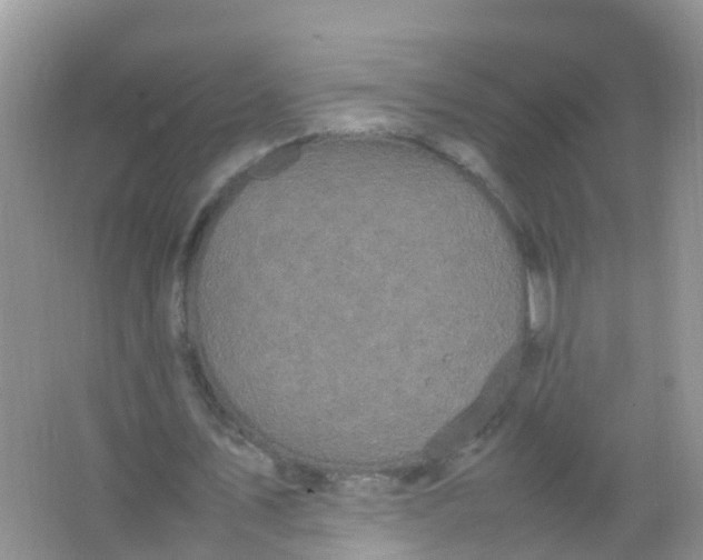 X0000066940579200604071914