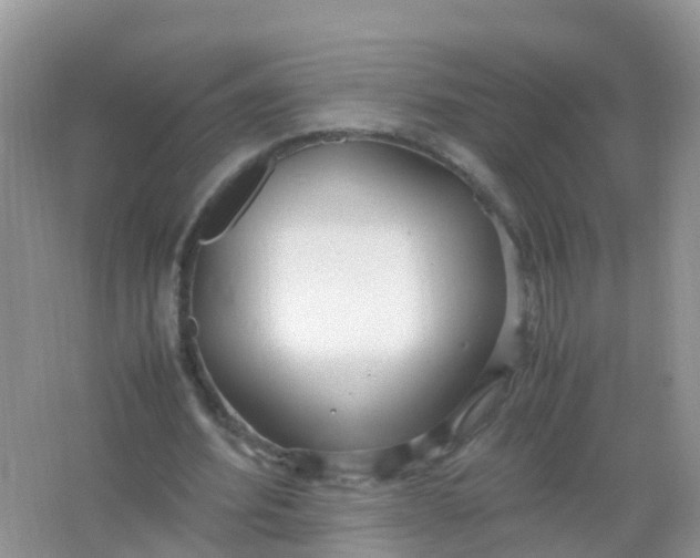 X0000066940580200604071914