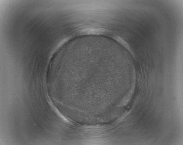 X0000066940581200604071914