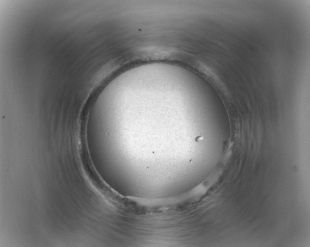 X0000066940582200604071914