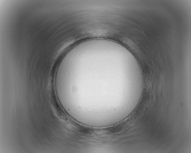 X0000066940583200604071914