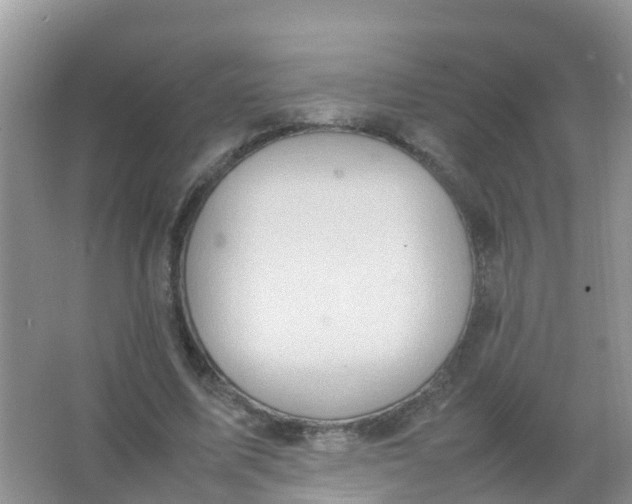 X0000066940587200604071914