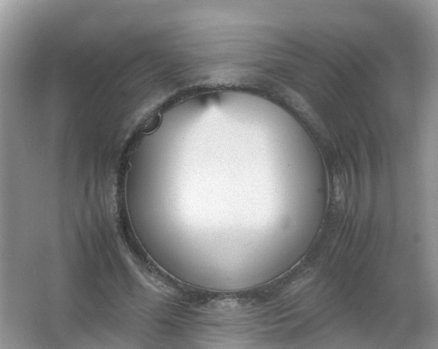 X0000066940588200604071914