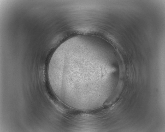 X0000066940590200604071914