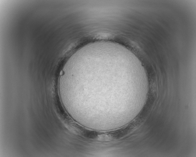 X0000066940591200604071914