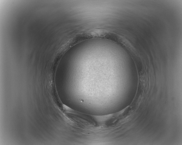 X0000066940593200604071914