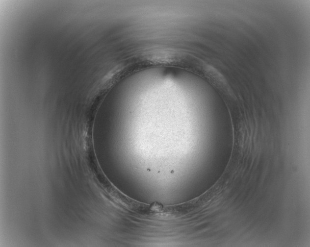 X0000066940596200604071914