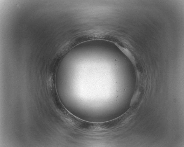 X0000066940597200604071914