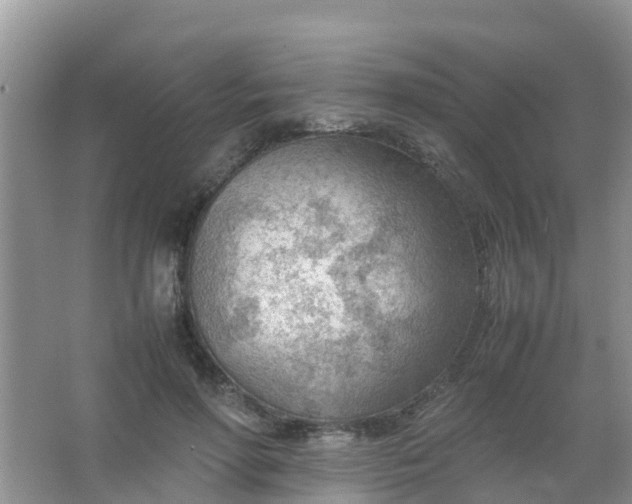 X0000066940598200604071914