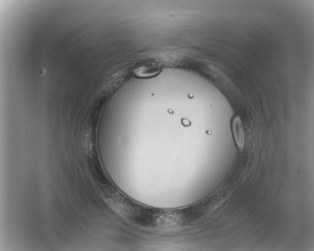 X0000066940599200604071914