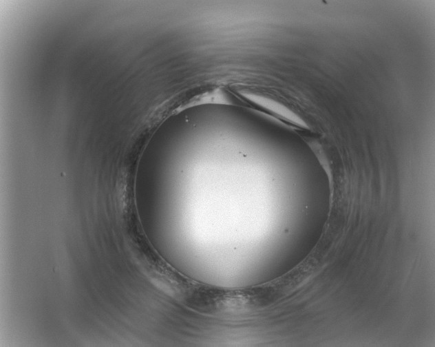 X0000066940600200604071914