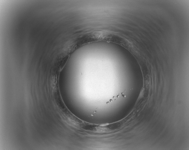 X0000066940605200604071914