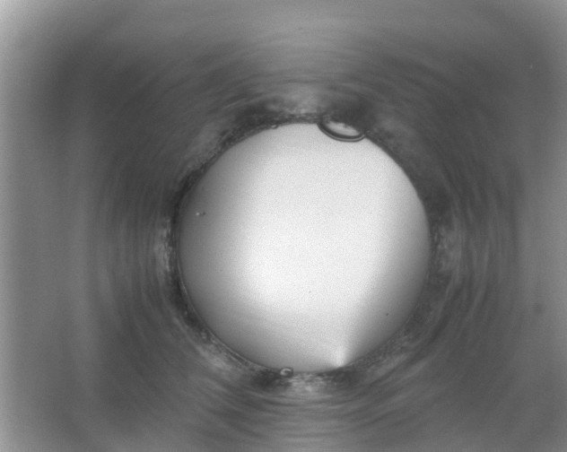 X0000066940612200604071914