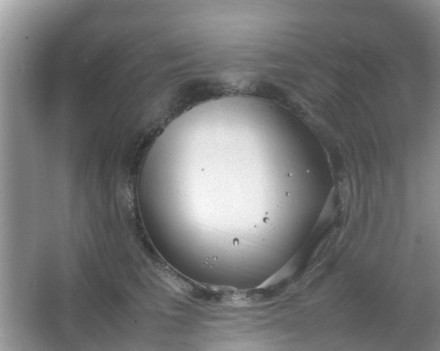 X0000066940613200604071914