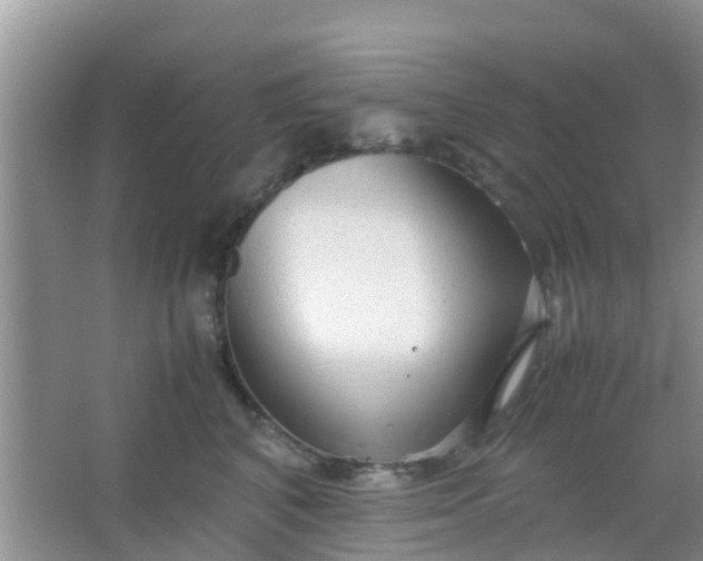 X0000066940616200604071914