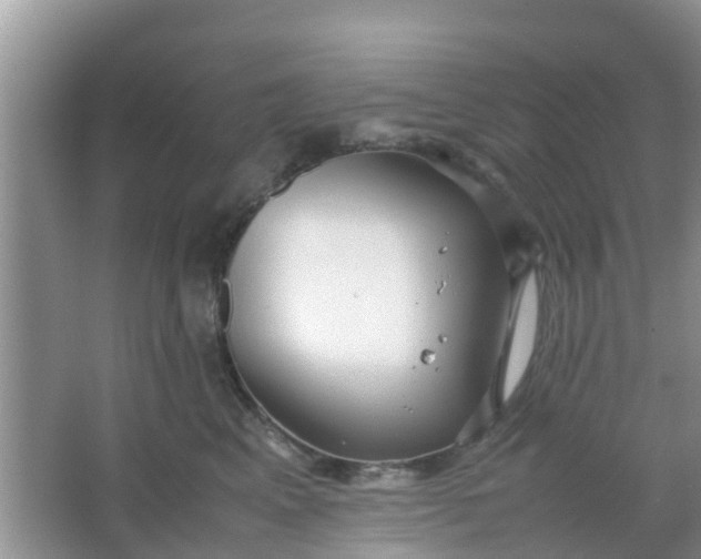 X0000066940617200604071914