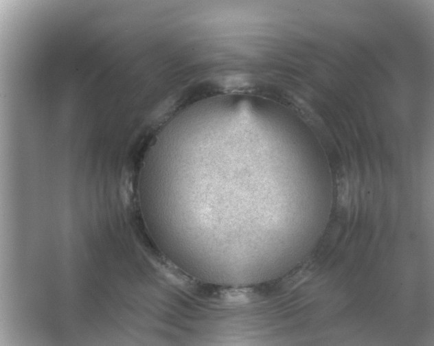 X0000066940618200604071914