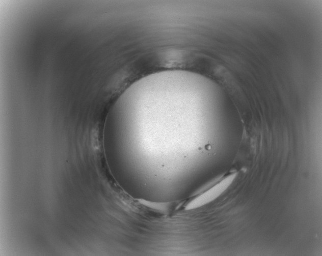 X0000066940620200604071914