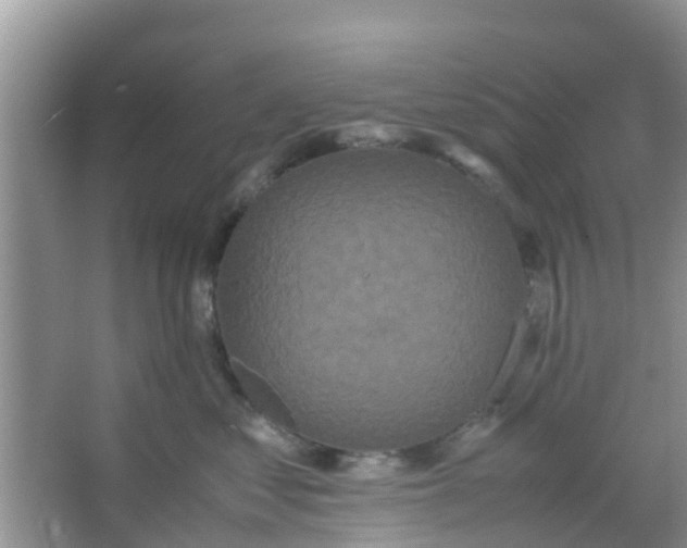 X0000066940621200604071914