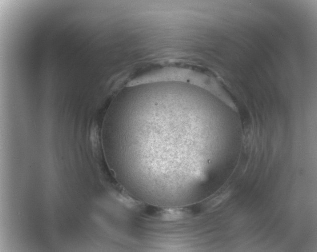 X0000066940623200604071914