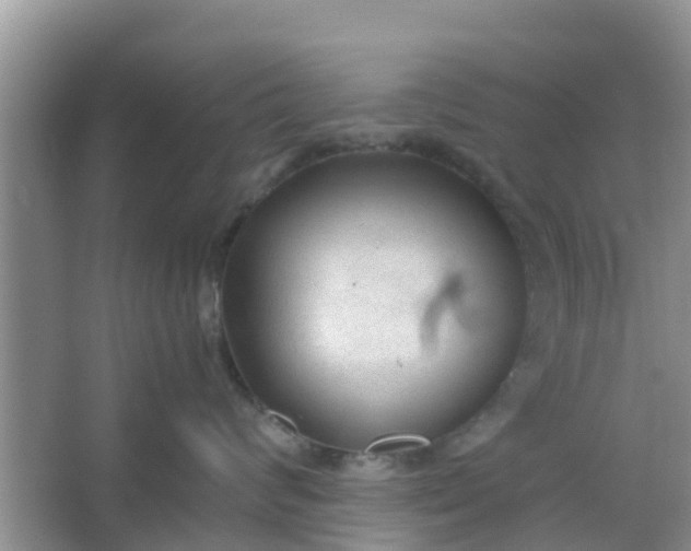 X0000066940624200604071914