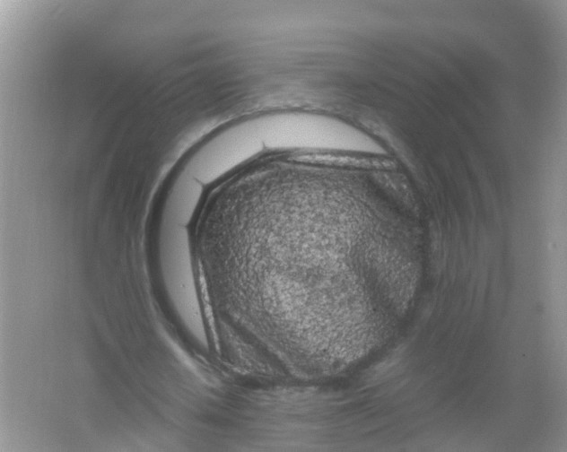 X0000066940626200604071913