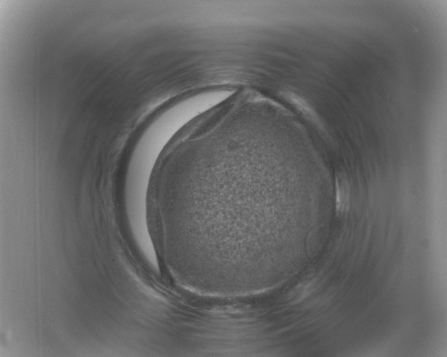 X0000066940627200604071913