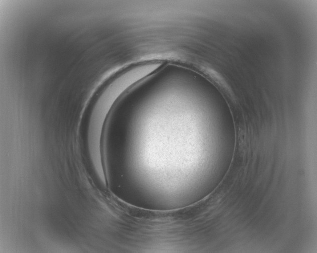 X0000066940628200604071913