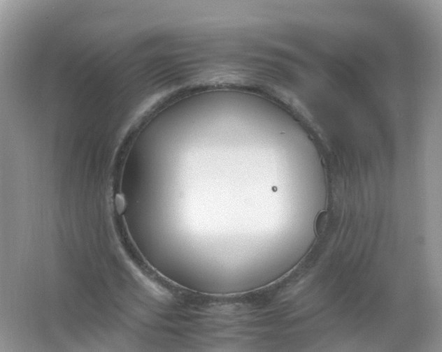 X0000066940629200604071913