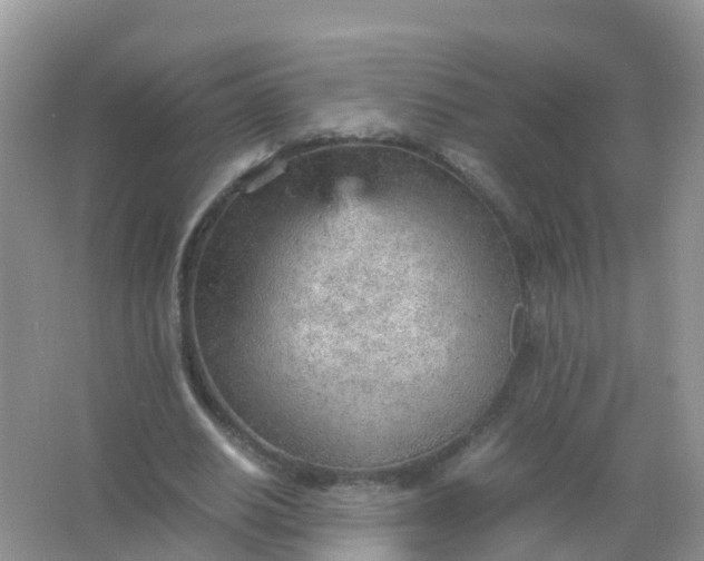 X0000066940630200604071913