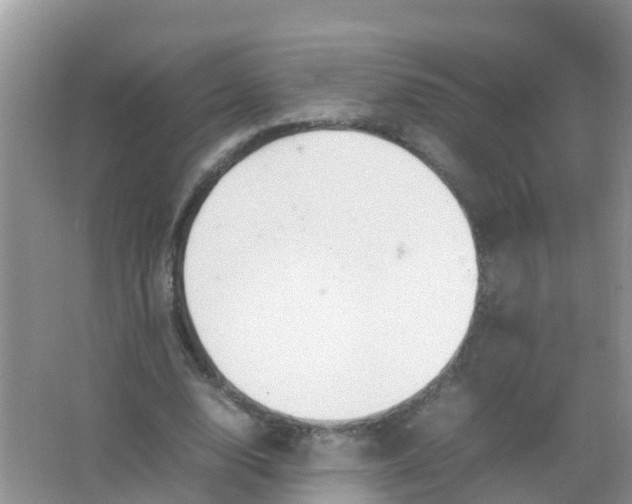 X0000066940632200604071913