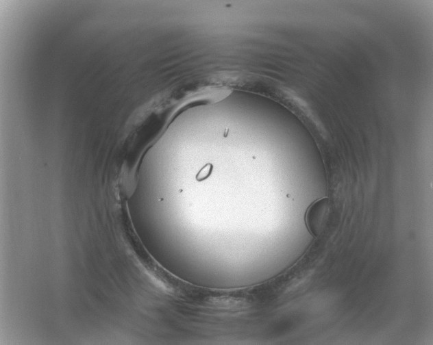 X0000066940633200604071913