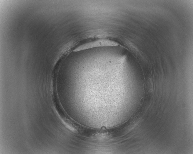 X0000066940638200604071913