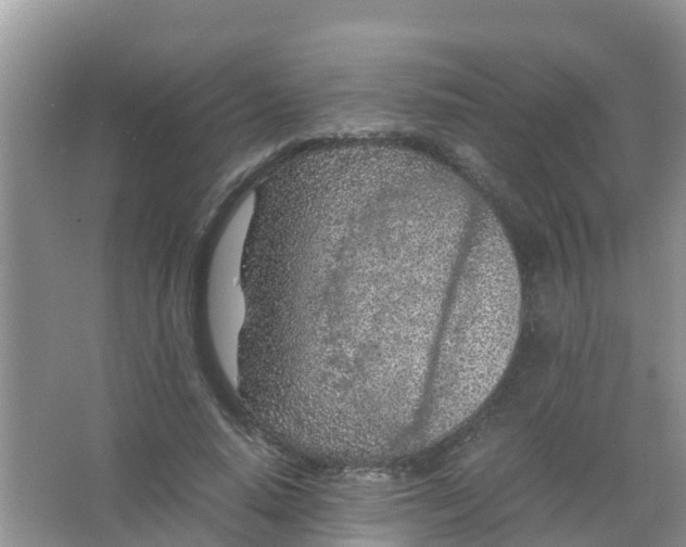 X0000066940640200604071913