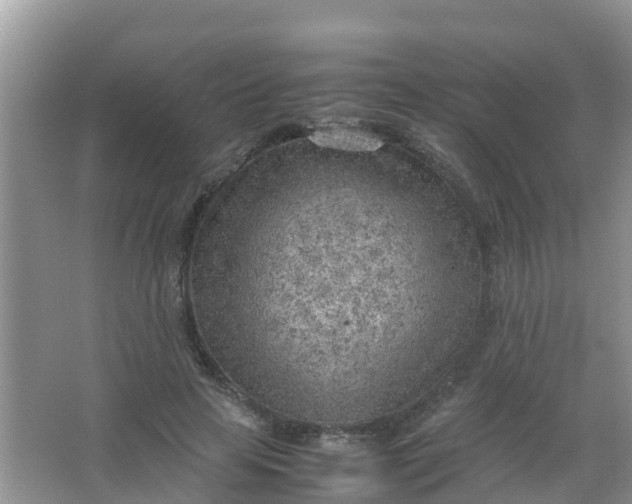 X0000066940641200604071913