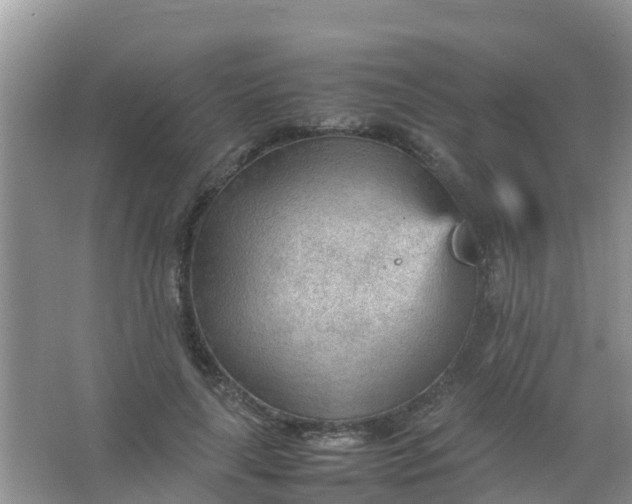 X0000066940643200604071913