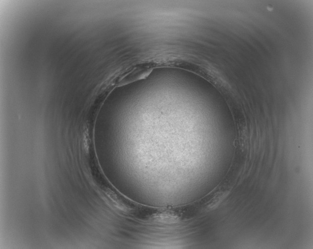 X0000066940644200604071913