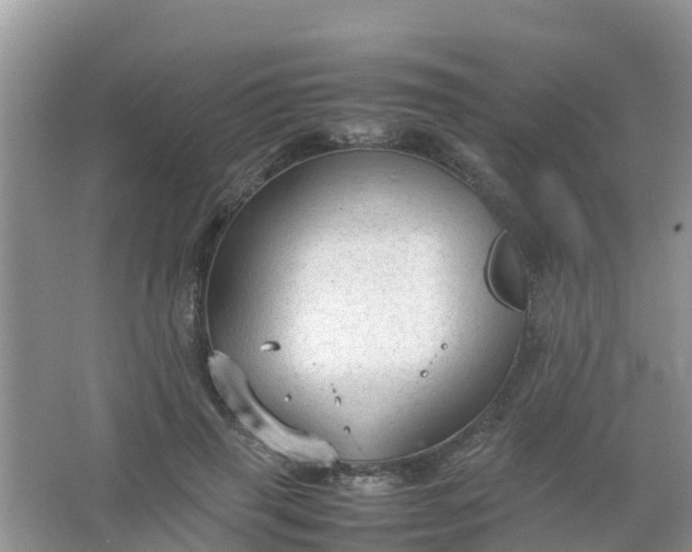 X0000066940645200604071913