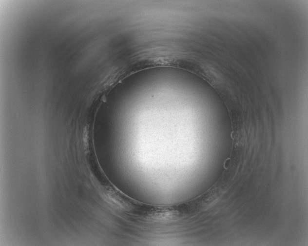 X0000066940646200604071913