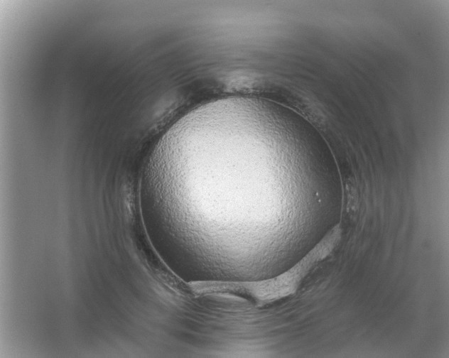 X0000066940648200604071913